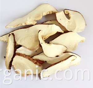 organic shiitake mushroom slice